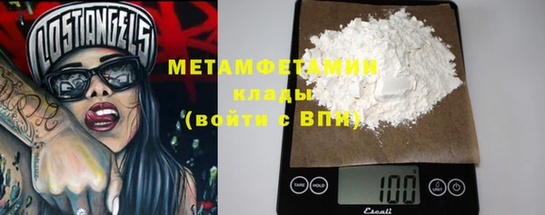 прущие грибы Волосово