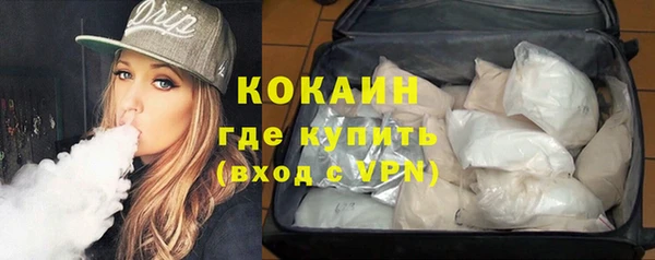 прущие грибы Волосово