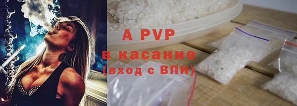 прущие грибы Волосово
