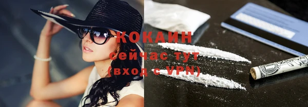 прущие грибы Волосово