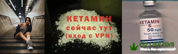 прущие грибы Волосово