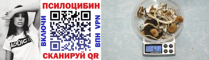 Галлюциногенные грибы Magic Shrooms  Купить  Трубчевск 